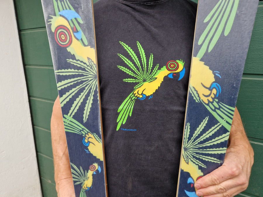 Paradiesvogel